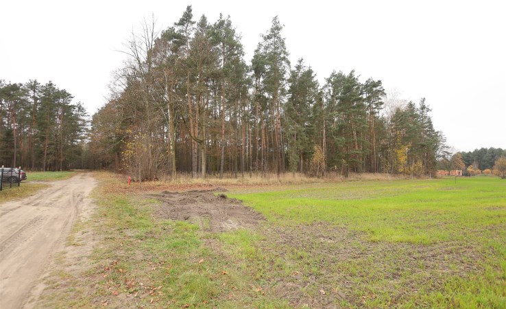 działka na sprzedaż - Ozimek (gw), Szczedrzyk