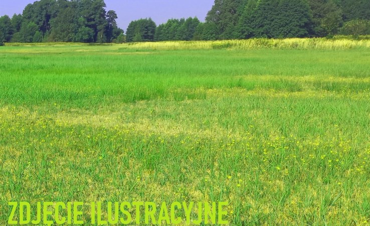 działka na sprzedaż - Łubniany, Luboszyce